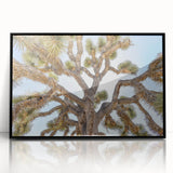 Large abstract wall art depicting Joshua Tree in muted earth tones on a framed acrylic, ideal for modern living room decor.