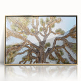 Acrylic print of Joshua Tree with muted earth tones in a mid-century modernist style, suitable as modern art wall decor.