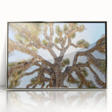 Mid-century modernist art of Joshua Tree with muted earth tones on a framed acrylic, ideal for nursery wall art.