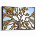 Black and white framed canvas featuring Joshua Tree landscape, ideal for bedroom wall art.