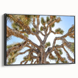 Black and white framed canvas featuring Joshua Tree landscape, ideal for bedroom wall art.