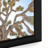 Close-up of a black wall art featuring a textured Joshua Tree scene in vibrant colors on a framed canvas.