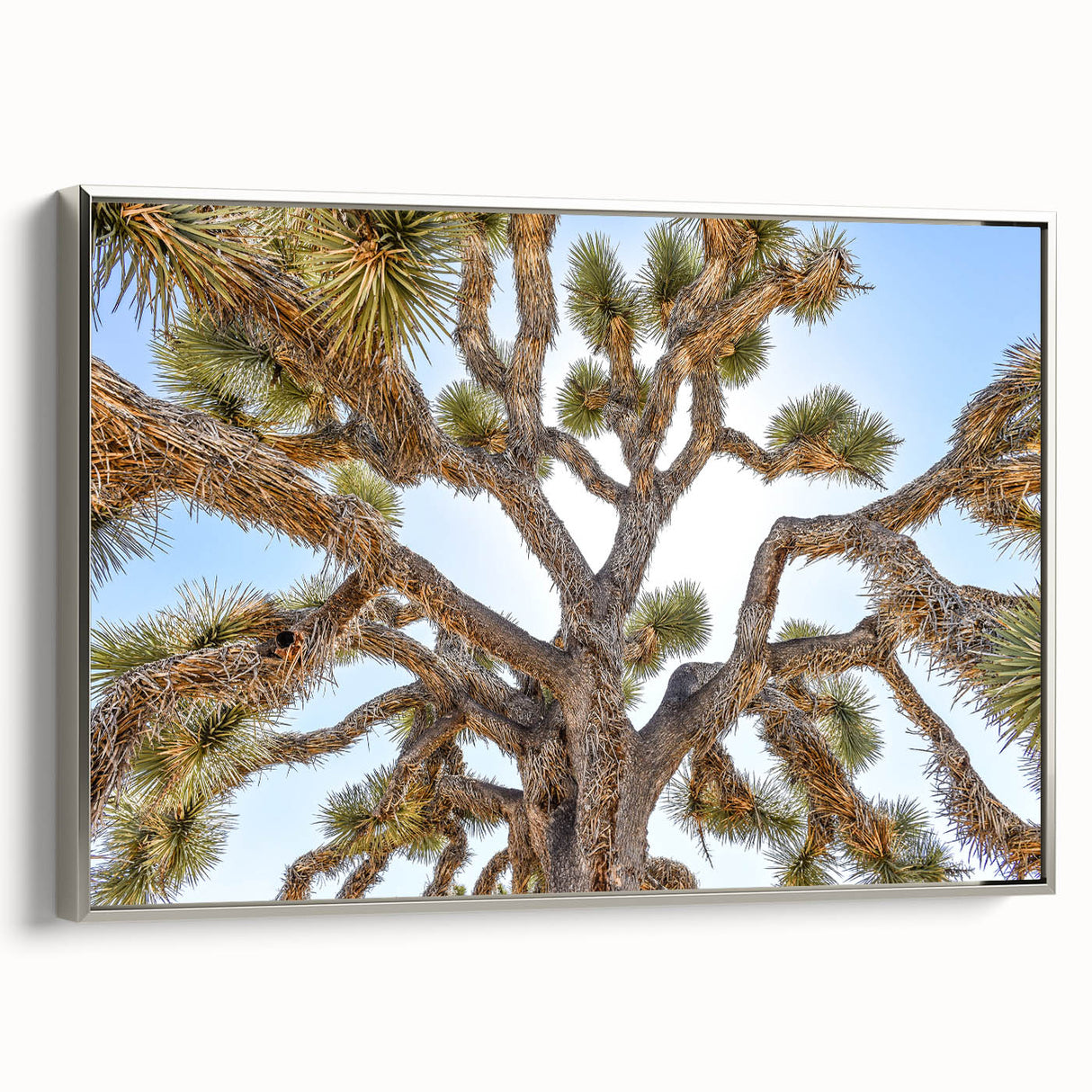 Framed canvas featuring a landscape art painting of Joshua Tree, with muted earth tones, ideal for a living room.