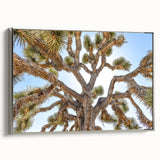 Framed canvas featuring a landscape art painting of Joshua Tree, with muted earth tones, ideal for a living room.