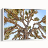 Vintage poster art of Joshua Tree on a framed canvas, featuring muted earth tones, ideal for living room decor.