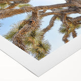 Art deco poster of Joshua Tree, featuring muted earth tones on rolled canvas, suitable for dining room wall art.