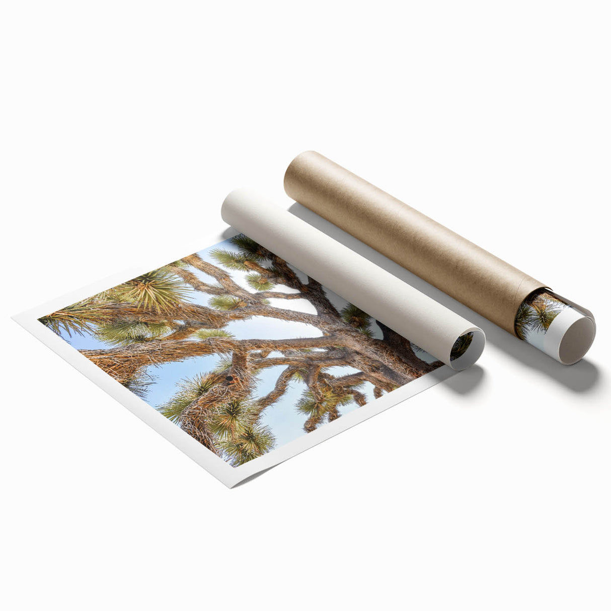 Joshua Tree landscape on rolled print, featuring muted earth tones, ideal for classy bathroom wall art.