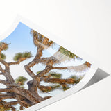 Extra large wall art featuring line art flowers and Joshua trees in muted earth tones on a rolled print.