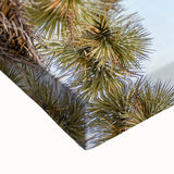 Black and white landscape art painting of Joshua Tree on large stretched canvas, suitable for bedroom wall decor.