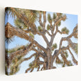 Joshua Tree landscape on large stretched canvas with earth tones, ideal for kitchen wall art.