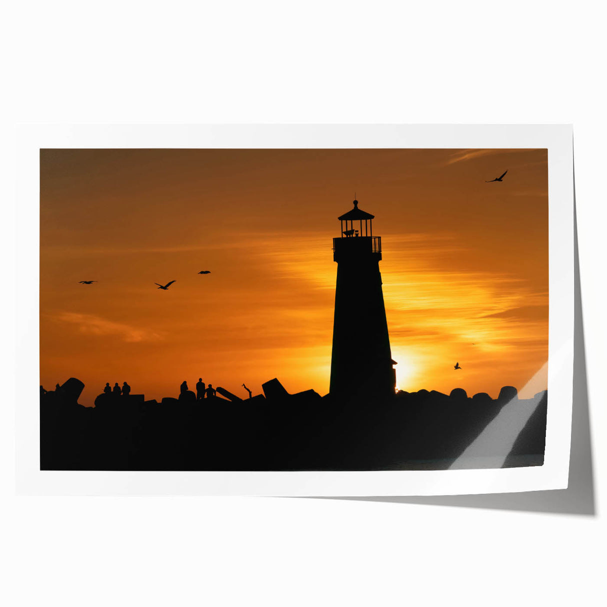Extra large rolled print of Santa Cruz scenery with vibrant floral elements, ideal for art wall dining room.