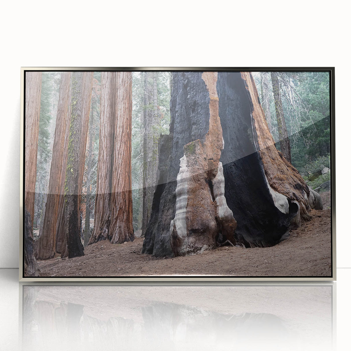 Mid-century modernist art depicting California's Sequoia trees in muted earth tones, framed acrylic.