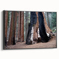 Black and white framed canvas depicting a vintage-style sequoia landscape, ideal for bedroom wall decor.