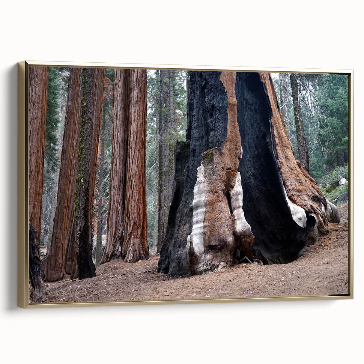 Framed canvas wall art depicting a vintage-style landscape of California's Sequoia trees in muted earth tones.
