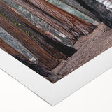 Art deco poster of California's Sequoia trees in earthy green tones on rolled canvas, suitable for dining room or bathroom.