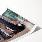 Extra large wall art featuring line art flowers and sequoia trees in black and white, ideal for large living room decor.