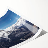 Extra large wall art of line art flowers in muted earth tones on rolled canvas, ideal for large living room decor.