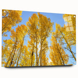 Acrylic print of Aspen, Colorado scenery with vibrant fall colors, ideal for dining room art.