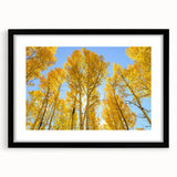 Extra large abstract art print depicting colorful Aspen scenery, in a black frame with mat, suitable for living room decor.