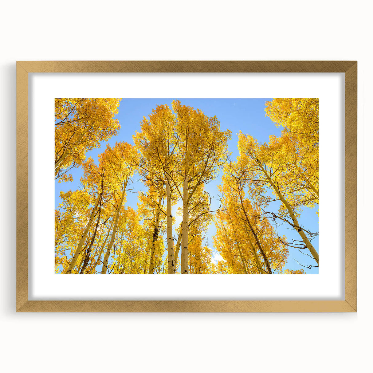 Extra large abstract art print of Aspen scenery in gold frame, featuring textured strokes in earthy tones.