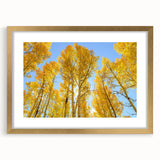 Extra large abstract art print of Aspen scenery in gold frame, featuring textured strokes in earthy tones.