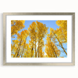 Textured art depicting an abstract Aspen, Colorado scenery in muted earth tones, framed with a silver mat.