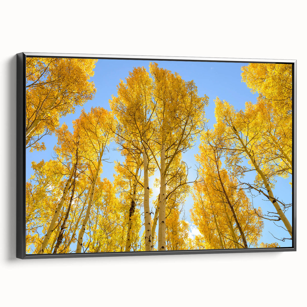 Black and white framed canvas of an Aspen, Colorado landscape, ideal for bedroom wall art.