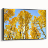 Black and white framed canvas of an Aspen, Colorado landscape, ideal for bedroom wall art.