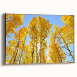 Framed canvas wall art depicting a serene Aspen, Colorado landscape in gold and black tones, suitable for bedroom decor.