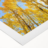 Art deco poster of Aspen, Colorado scenery with vibrant autumn hues on rolled canvas, suitable for dining room wall art.