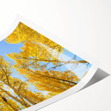 Extra large wall art featuring line art flowers in muted earth tones on a rolled canvas.