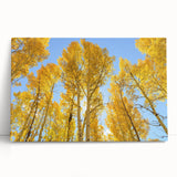 Black and white photograph of Aspen trees on stretched canvas, ideal for kitchen wall art or bedroom ambiance.