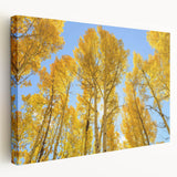 Large art of Aspen, Colorado scenery on stretched canvas, featuring autumnal hues, ideal for kitchen wall decor.