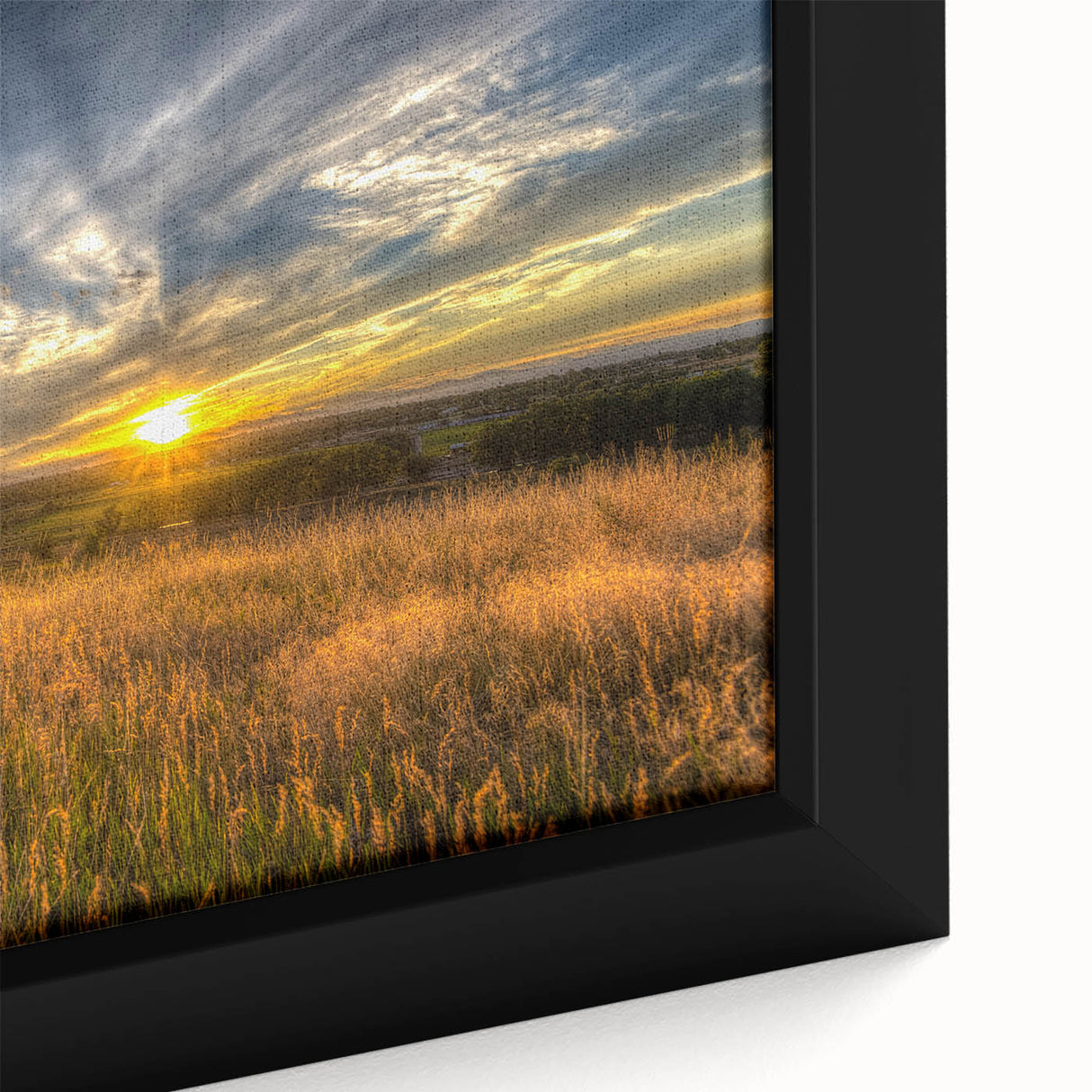 Framed canvas depicting a textured, colorful Boulder, Colorado scenery in black with vibrant accents.