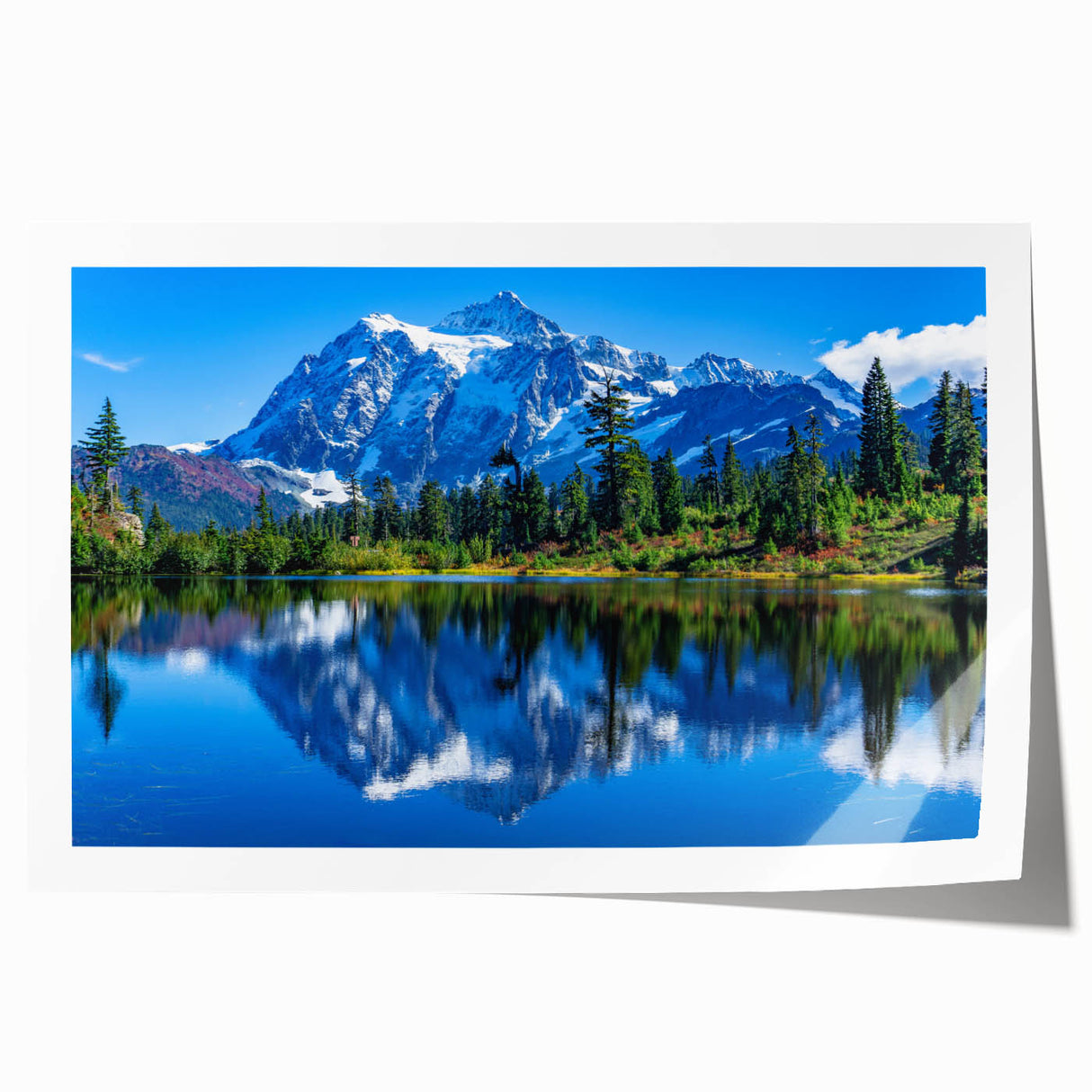 Rolled print of the Rocky Mountains in Colorado, featuring earthy green and brown tones, ideal for art wall dining room.