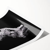 Extra large rolled print of line art flowers in muted earth tones, ideal for large living room wall decor.