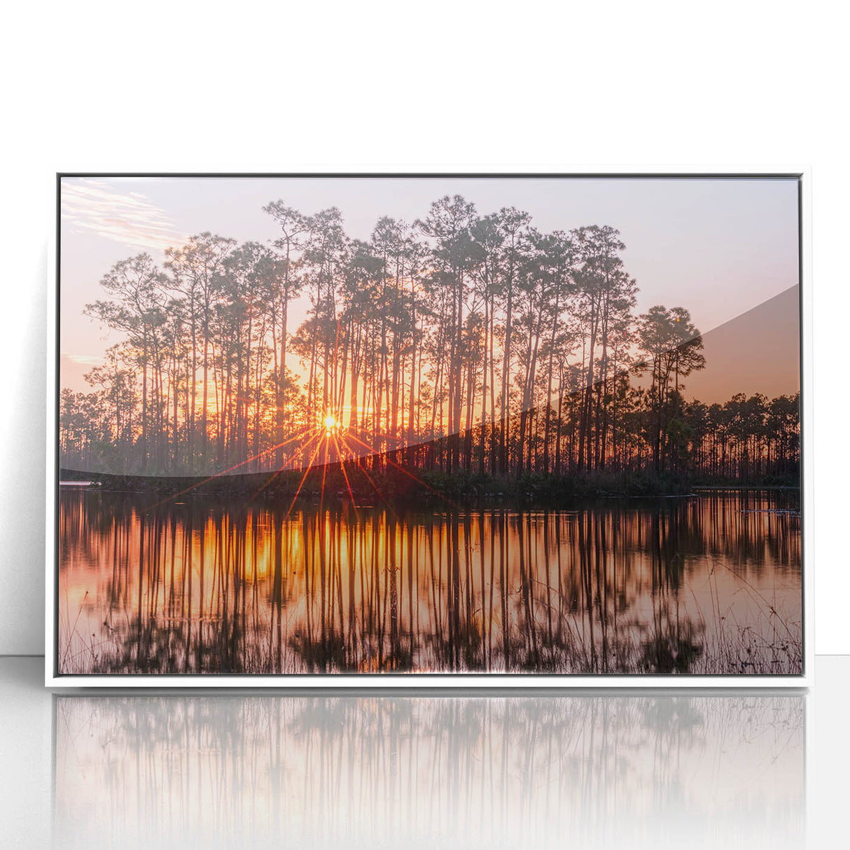 Acrylic print of the Everglades in art deco style with muted green and blue tones, ideal for modern nursery wall art.