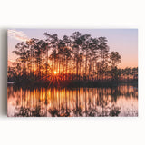 Black and white photograph of the Everglades on stretched canvas, suitable for kitchen wall art.