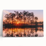 Black and white photograph of the Everglades on stretched canvas, ideal for kitchen wall art or bedroom decor.