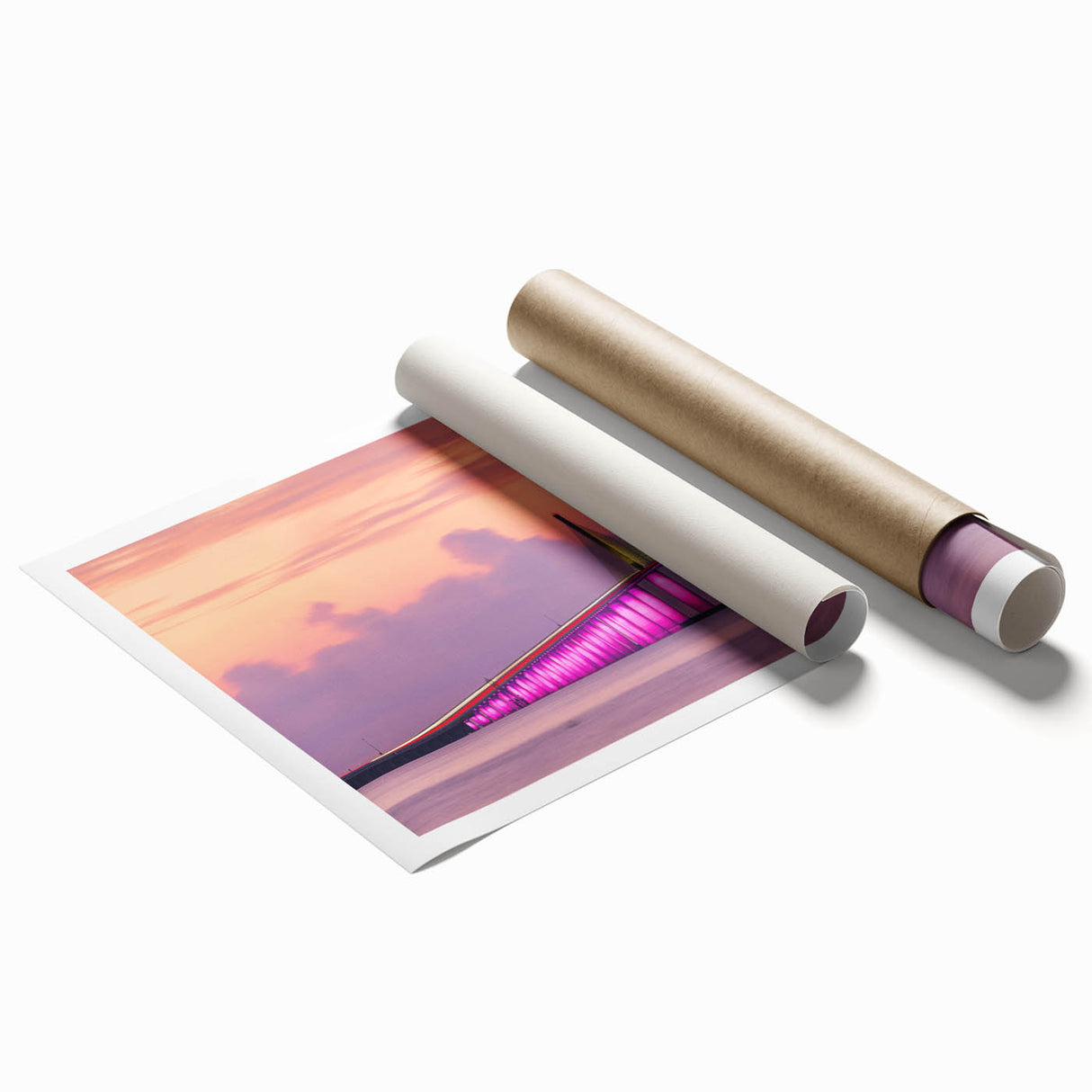 Extra large rolled print of Tampa scenery with vibrant flora, ideal for classy bathroom or large living room wall art.