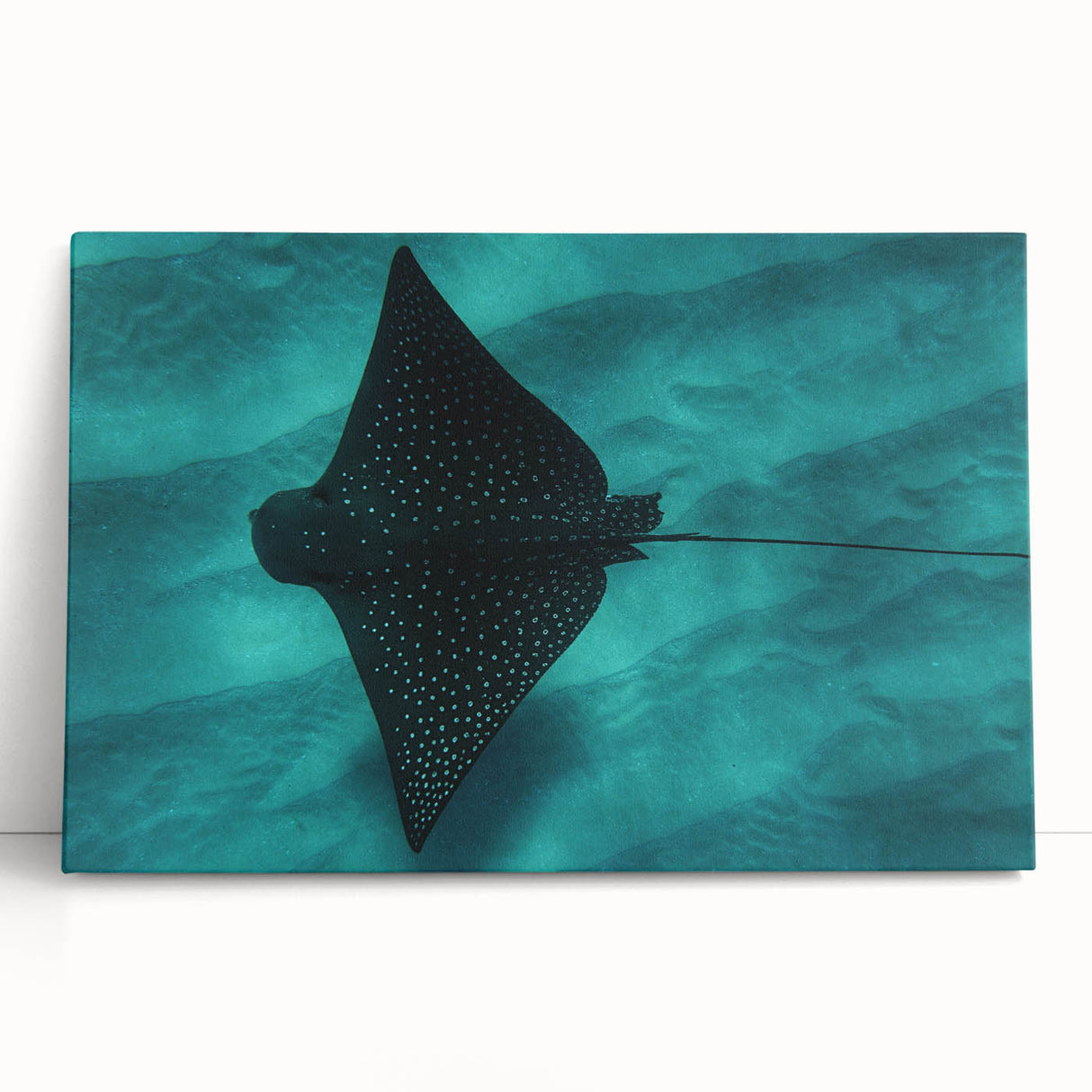 Black and white photograph of Oahu's coastline on a stretched canvas, ideal for kitchen wall art or bedroom ambiance.