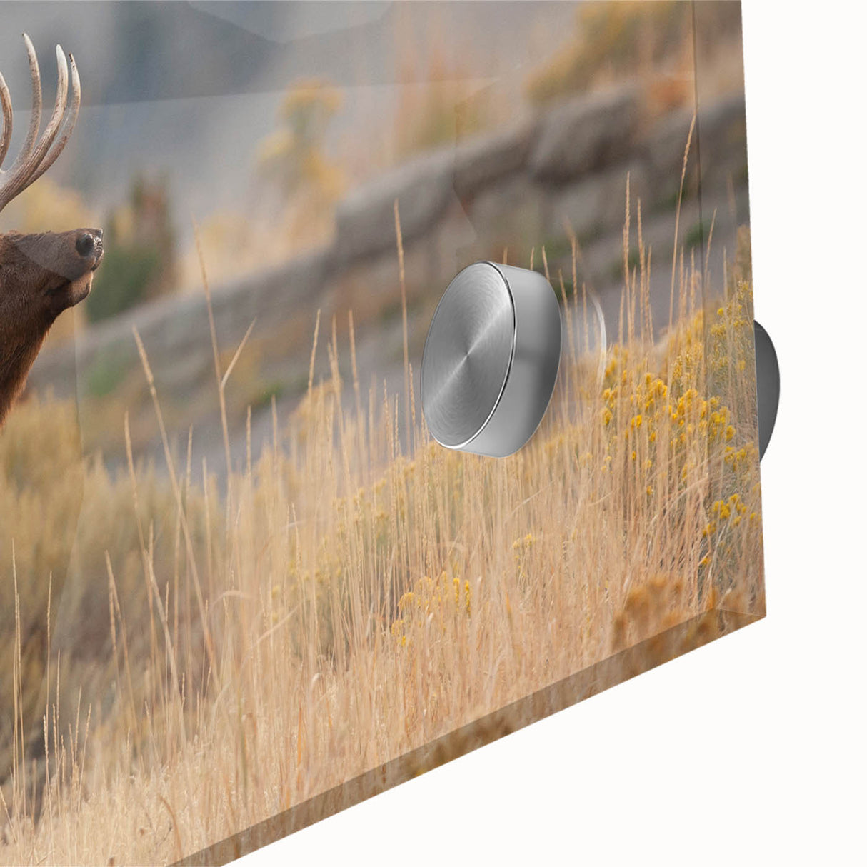 Large abstract wall art of Idaho scenery in mid-century modernist style, rendered on acrylic glass.