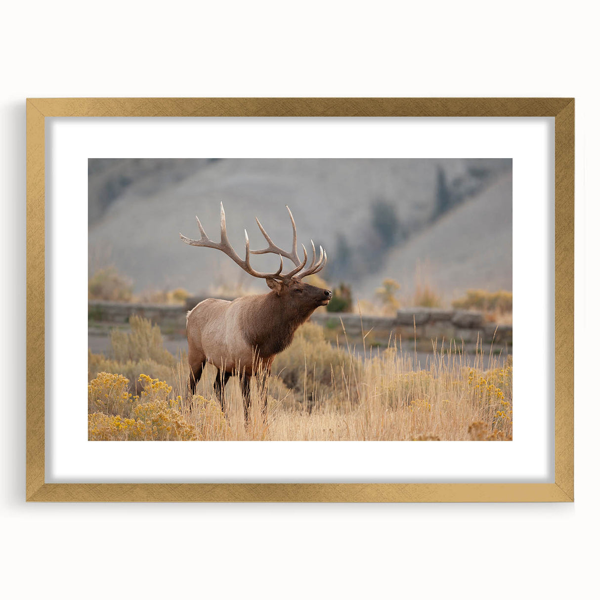 Extra large abstract art print depicting a textured Idaho landscape in muted earth tones, framed in gold.