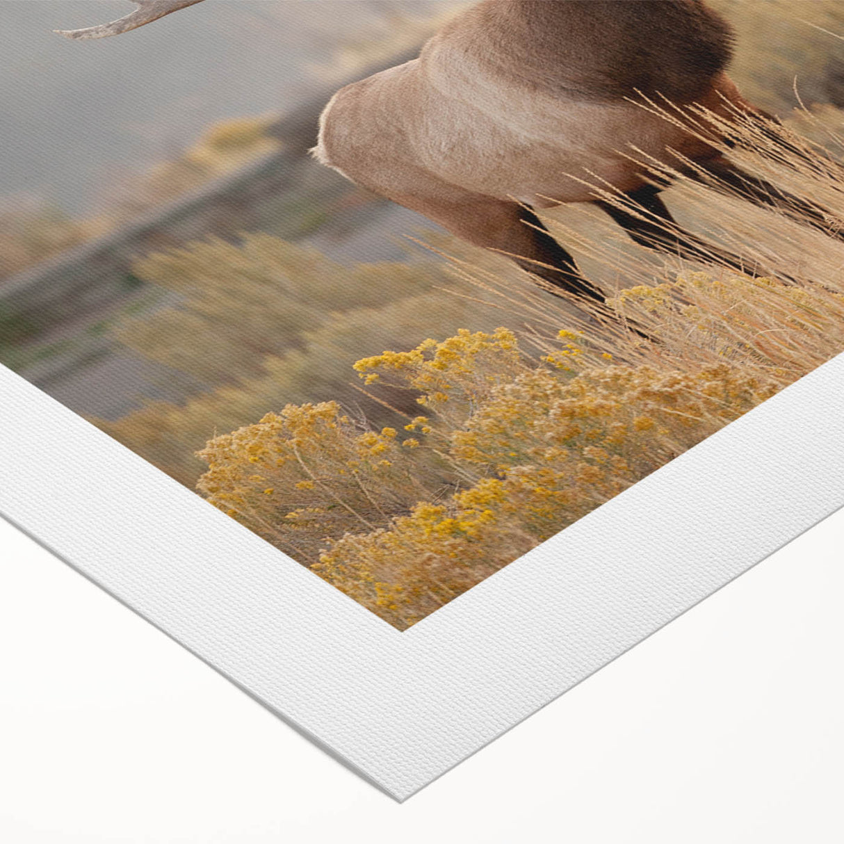 Art deco poster featuring Idaho scenery in muted earth tones on rolled canvas, suitable for dining room decor.