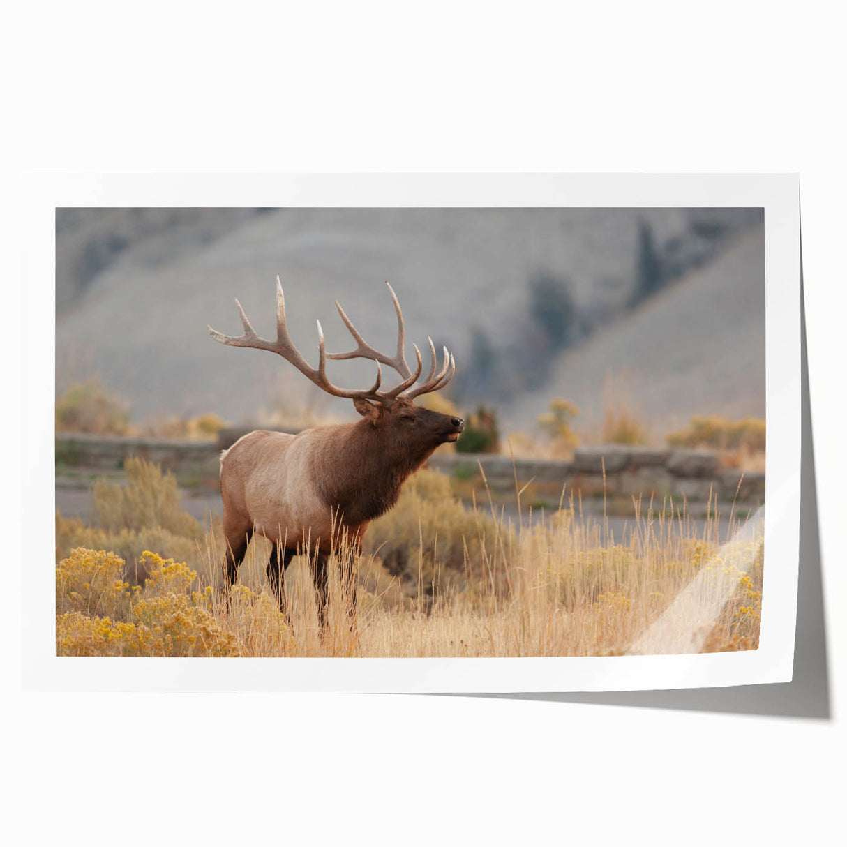 Idaho scenery wall art featuring soft pastel floral designs on a rolled print, ideal for dining room decor.
