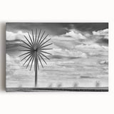 Iowa farmland scene in black and white on large stretched canvas, ideal for kitchen wall art.