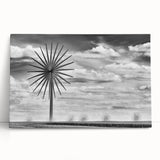 Black and white photo of Iowa scenery on stretched canvas, ideal for kitchen wall art or bedroom ambiance.