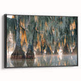 Black and white framed canvas featuring a vintage-style Louisiana landscape, ideal for bedroom wall decor.