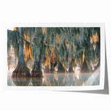 Rolled print of a Louisiana landscape with vivid green and blue tones, suitable as art wall for dining room.