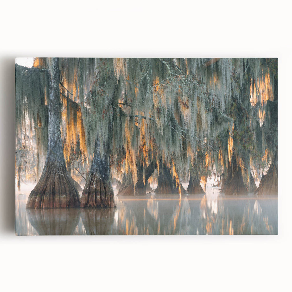 Black and white photograph of Louisiana scenery on large stretched canvas, suitable for kitchen wall art.